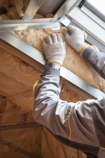 Best Residential Insulation Services  in Biscayne Park, FL