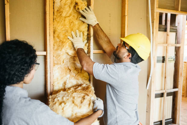 Best Wall Insulation Contractor  in Biscayne Park, FL