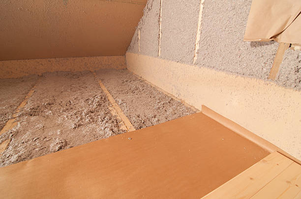 Best Insulation Repair Services  in Biscayne Park, FL